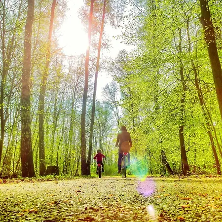 Ferienhaus Bungis Am Grimnitzsee Barrierefrei