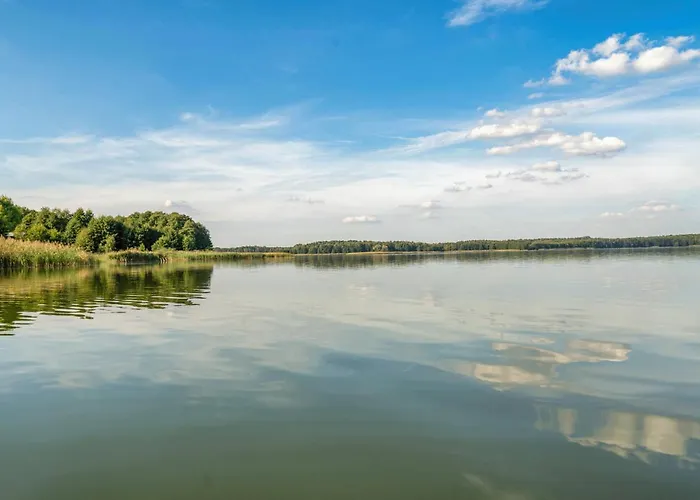 بيت للعطل Bungis - 28 Ferienhaeuser Am Grimnitzsee Barrierefrei G9 يواخيمستال
