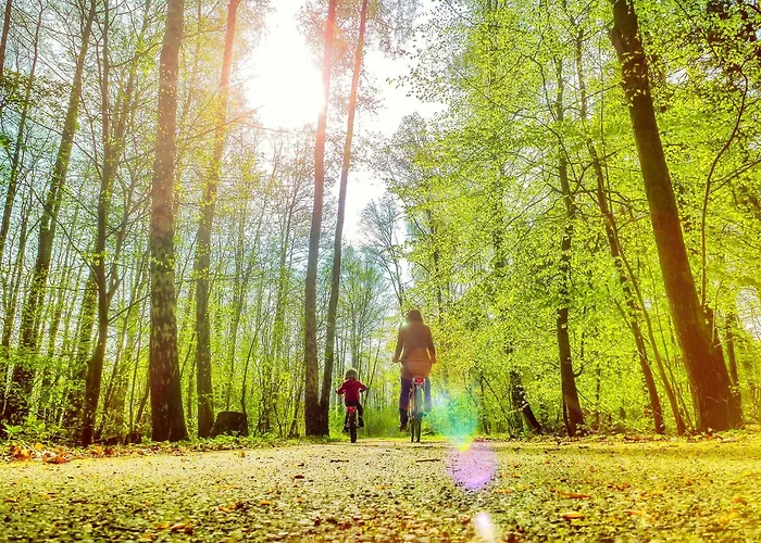 بيت للعطل Bungis - 28 Ferienhaeuser Am Grimnitzsee Barrierefrei G9